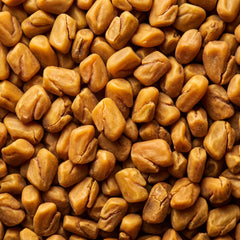 Fenugreek