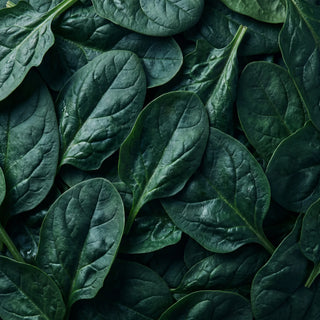 Vitamin K1 + K2